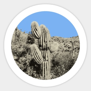 Little Saguaro Sticker